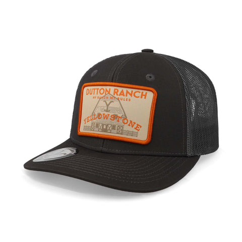 Gorra Yellowstone 01 Yw01 Gris Unitalla