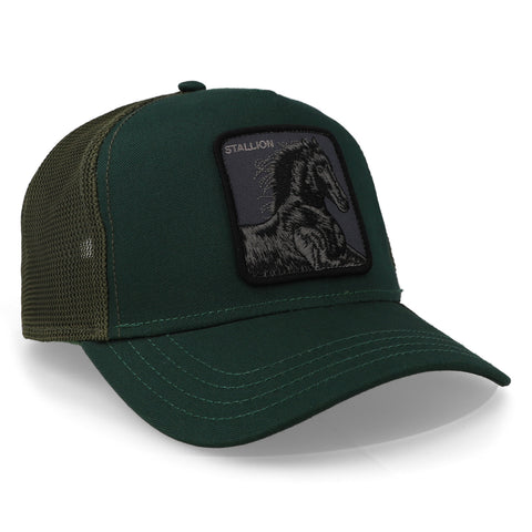 Gorra Goorin Bros 101-1344 V2 Stallion Verde Unitalla