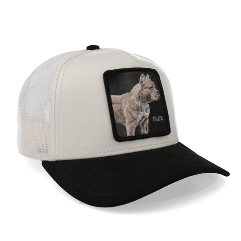 Gorra Goorin Bros 101-1860 The Suede Pitbull Crema Unitalla