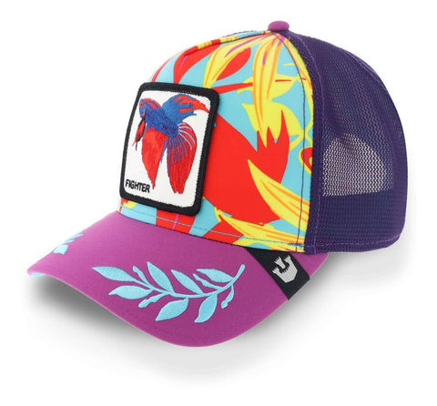 Gorra Goorin Bros 101-0584 Even Betta Colors Morado Unitalla