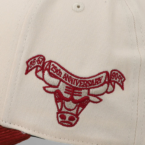 Gorra Mitchell & Ness NBA Bulls Fall Cord Pro Snapback