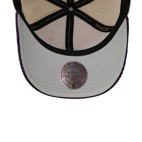 Gorra Mitchell & Ness NBA Raptors HWC Fall Cord Pro Snapback