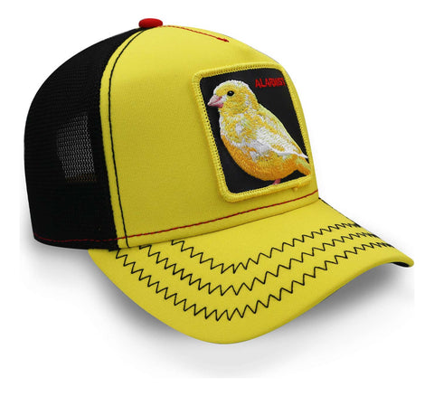 Gorra Goorin 101-0458 Bros Friday Drop Life´s A Gas Amarillo