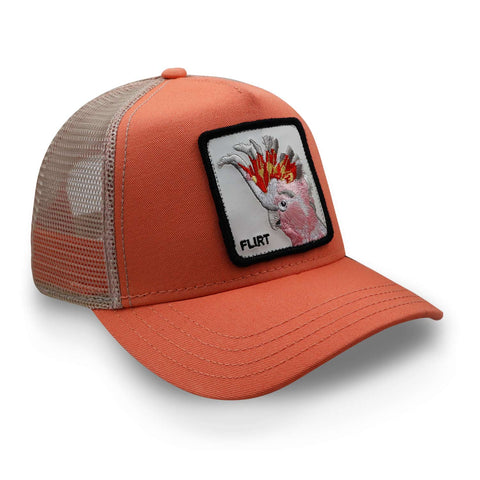 Gorra Goorin Bros 101-0484 The Flirty Bird Rosa Unitalla