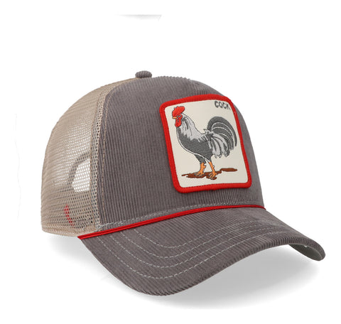 Gorra Goorin Bros 101-2707 The Arena Gris Unitalla