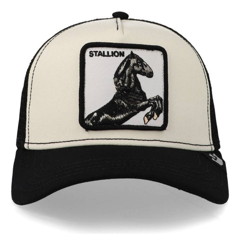 Gorra Goorin Bros 101-0393 The Stallion Black Negro Unitalla