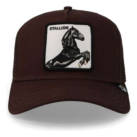 Gorra Goorin Bros 1010393 The Stallion Café Unitalla