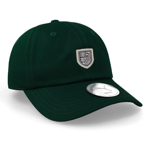Gorra Puma Wardrobe ESS Graphic Verde Unitalla