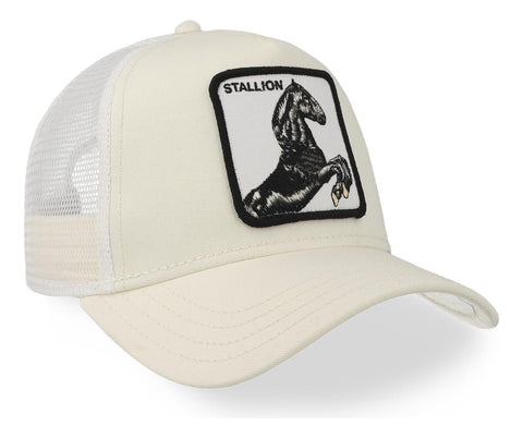 Gorra Goorin Bros 101-0393 The Stallion Snow Unitalla