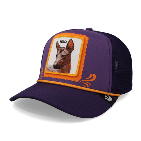 Gorra Goorin Bros 101-1352 Día del Xolo Purple Unitalla