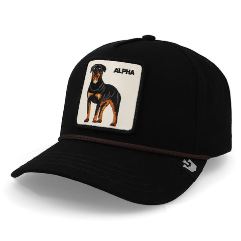 Gorra Goorin Bros 1011133 Alpha Dog 100 Negro Unitalla