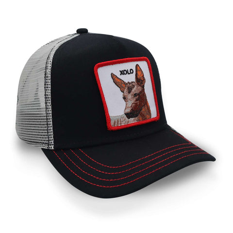 Gorra Goorin Bros 101-0187 Yolo Xolo Negro Unitalla