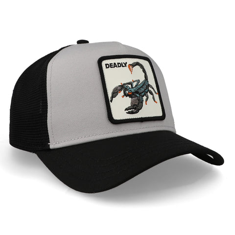 Gorra Goorin Bros 101-1436 V2 Deadly Gris oscuro Unitalla