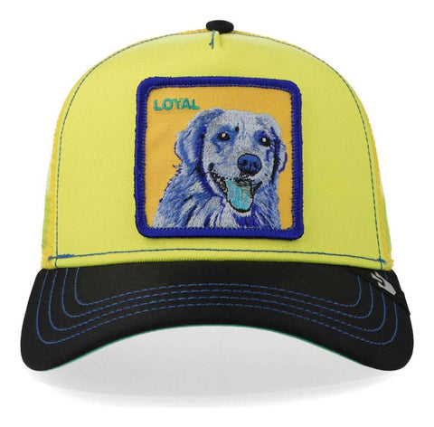 Gorra Goorin Bros 101-1037 Doggy Trip Amarillo Unitalla