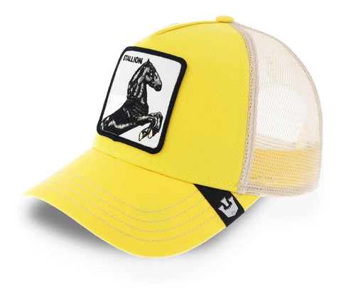 Gorra Goorin Bros 101 0393 The Stallion Black Amarillo Unita