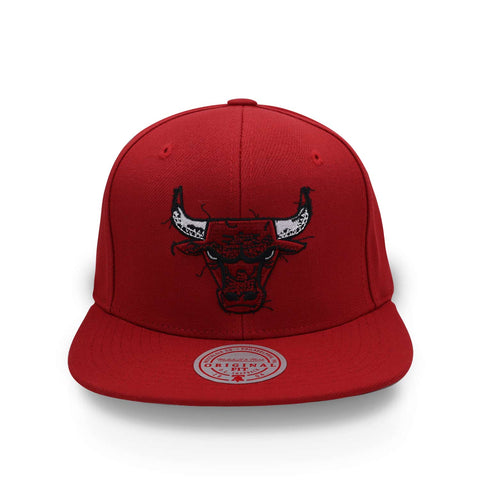 Gorra Mitchell & Ness NBA Embroidery Glitch Bulls Rojo Uni