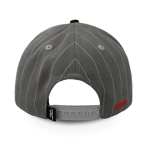Gorra JC Hats 3242 Tiger Gris