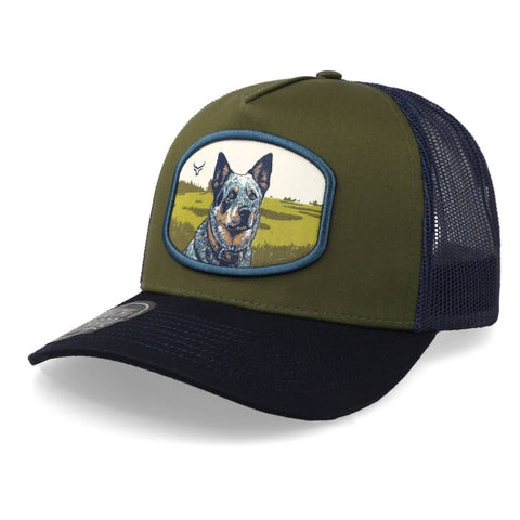 Gorra Ranch & Corral Dog Breeds RDB23 Blue Heeler Olivo