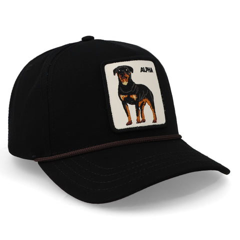 Gorra Goorin Bros 1011133 Alpha Dog 100 Negro Unitalla