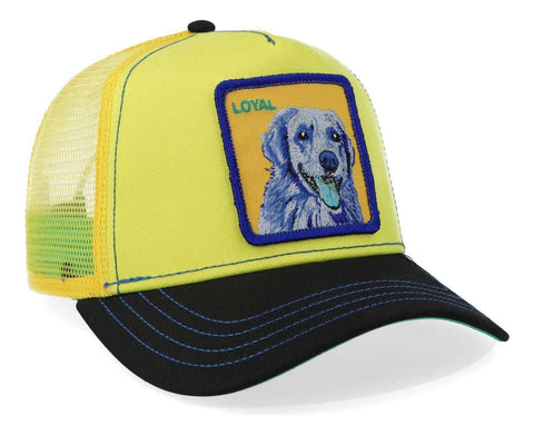 Gorra Goorin Bros 101-1037 Doggy Trip Amarillo Unitalla