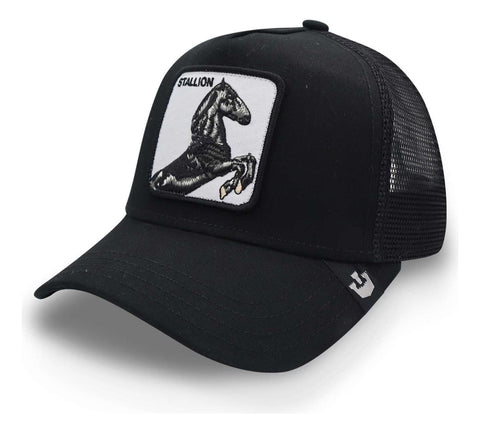 Gorra Goorin Bros The Stallion Negro Unitalla