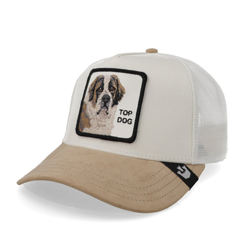 Gorra Goorin Bros 101-1812 The Suede St. Bernard Beige