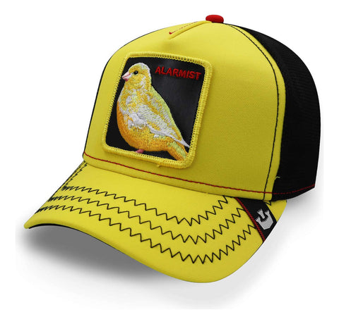 Gorra Goorin 101-0458 Bros Friday Drop Life´s A Gas Amarillo
