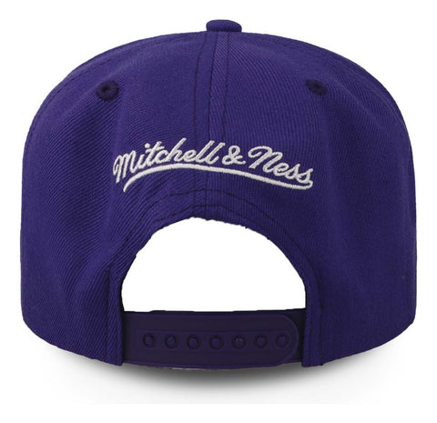 Gorra Mitchell & Ness Nba Team Ground 2.0 Raptors Morado Uni