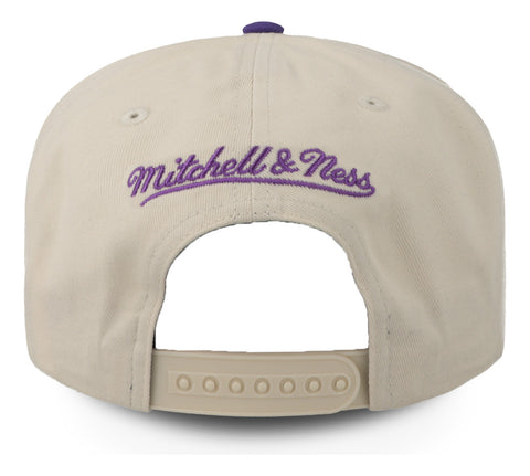 Gorra Mitchell & Ness Nba Reframe Retro Snapback Hwc Toronto