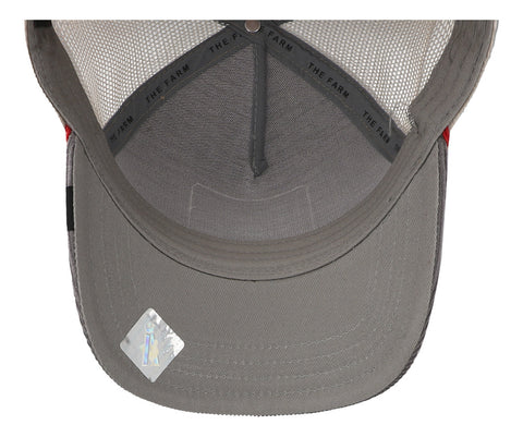 Gorra Goorin Bros 101-2707 The Arena Gris Unitalla