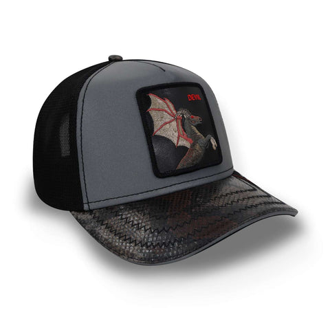 Gorra Goorin Bros 101-0666 Jersey Devil Gris Oscuro Unitalla