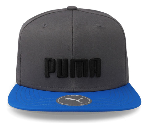 Gorra Puma Flatbrim 02477301 Gris Unitalla