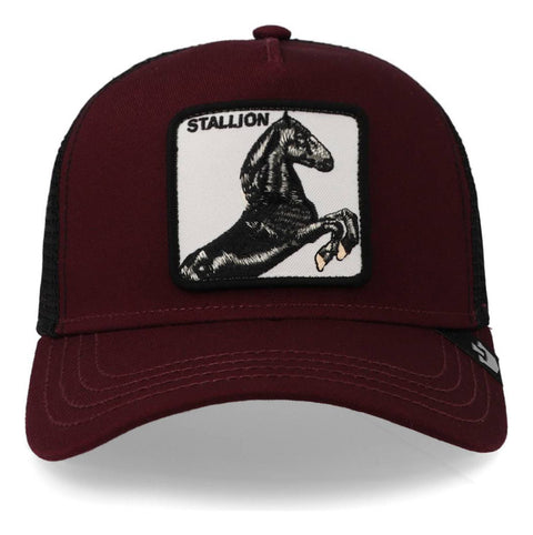Gorra Goorin Bros 101-0393 The Stallion Vino Unitalla
