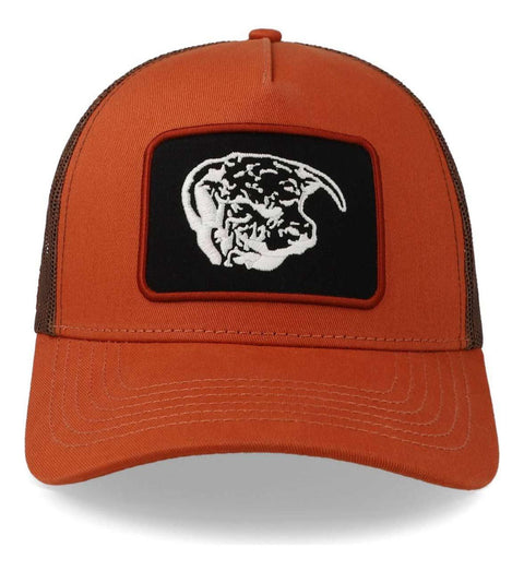 Gorra Cara Blanca Cb09 Cow Parche Tela Blk Trucker Naranja U