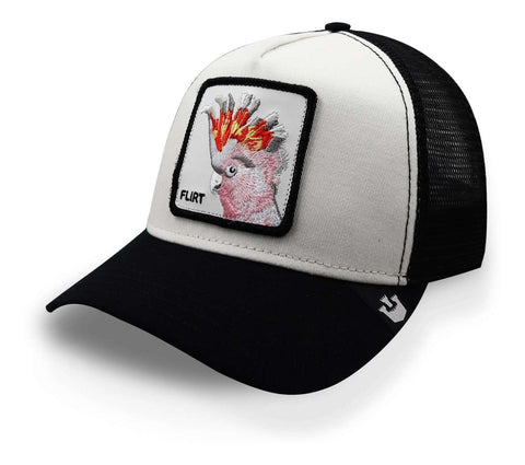 Gorra Goorin Bros 101-0484 The Flirty Bird Negro Unitalla
