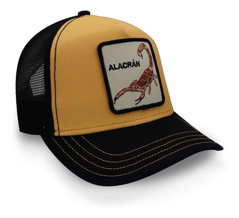Gorra Goorin Bros 101-0473 The Alacran Oro Unitalla