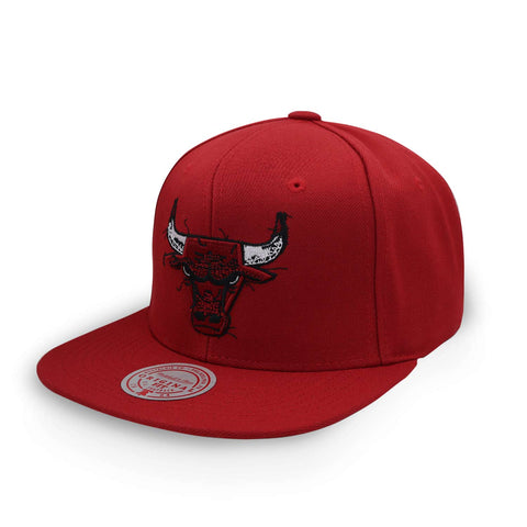 Gorra Mitchell & Ness NBA Embroidery Glitch Bulls Rojo Uni
