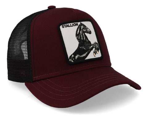 Gorra Goorin Bros 101-0393 The Stallion Vino Unitalla