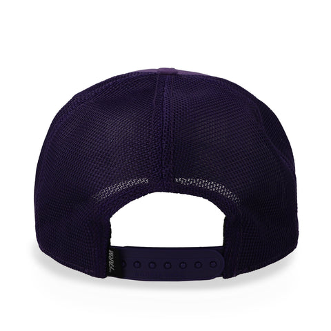 Gorra Goorin Bros 101-1352 Día del Xolo Purple Unitalla
