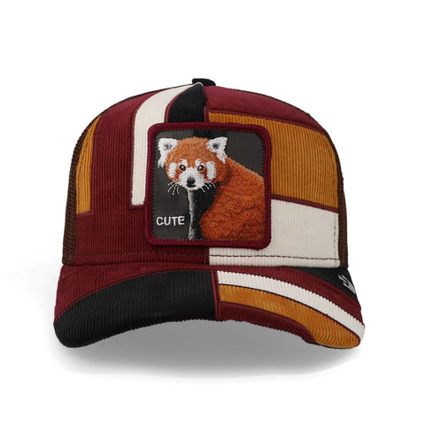 Gorra Goorin Bros 101-1111 Dorbz Negro Unitalla