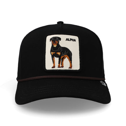 Gorra Goorin Bros 1011133 Alpha Dog 100 Negro Unitalla