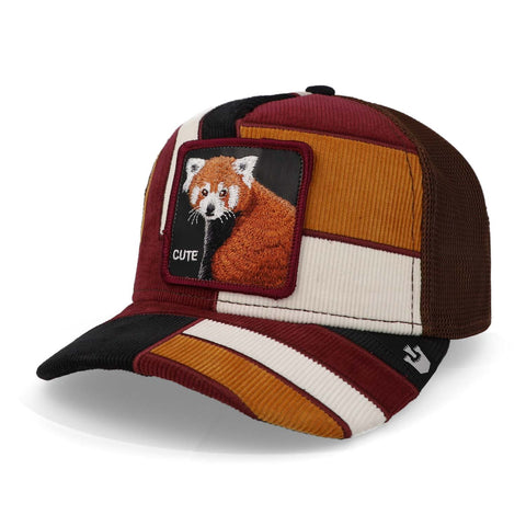 Gorra Goorin Bros 101-1111 Dorbz Negro Unitalla