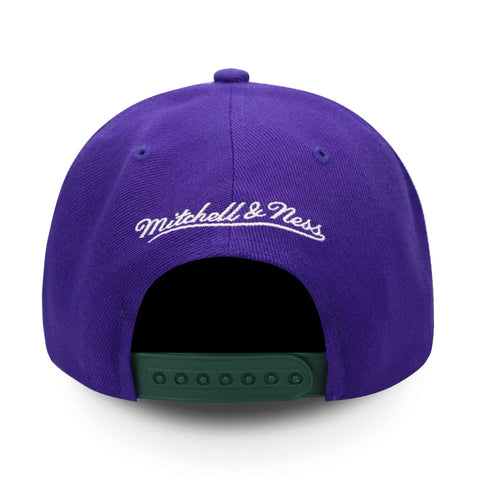 Gorra Mitchell & Ness NBA Bucks Core Basic Hwc Morado Uni