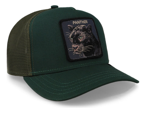 Gorra Goorin Bros V2 Panther 101-1333 Verde Unitalla