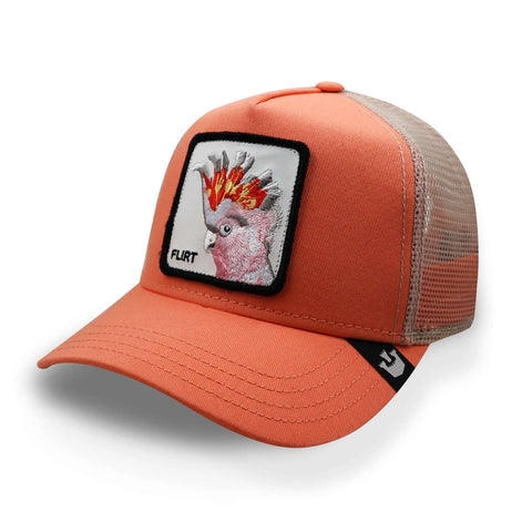 Gorra Goorin Bros 101-0484 The Flirty Bird Rosa Unitalla