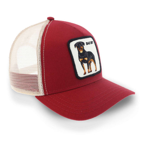 Gorra Goorin Bros The Baddest Boy Rojo Unitalla