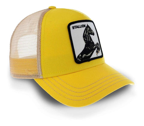 Gorra Goorin Bros 101 0393 The Stallion Black Amarillo Unita