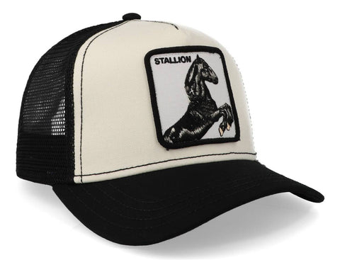 Gorra Goorin Bros 101-0393 The Stallion Black Negro Unitalla