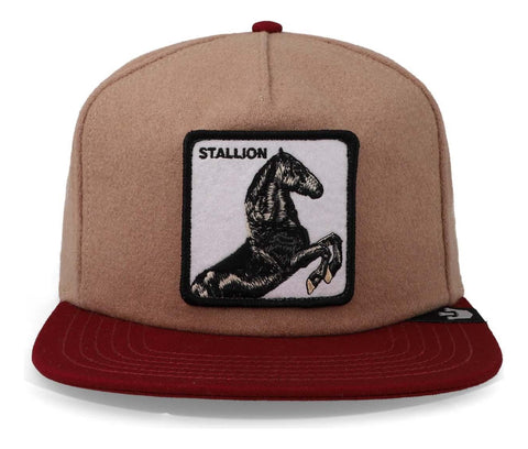 Gorra Goorin Bros 101-1374 Free Rider Tan Camel Unitalla